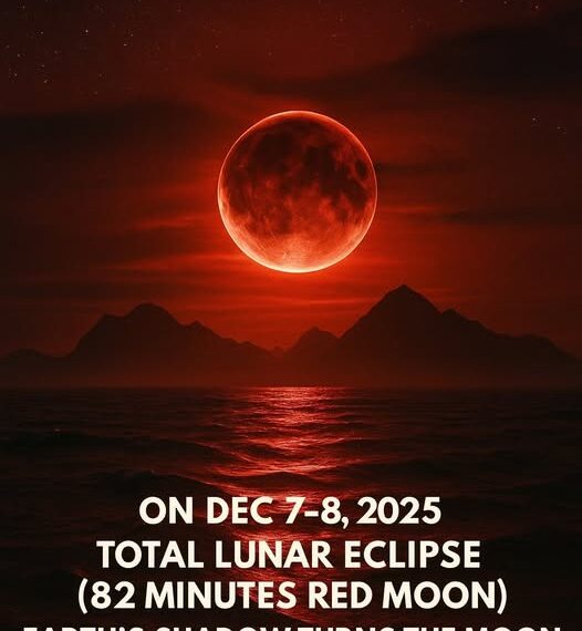 The Final Supermoon of 2025 Arrives December 4 — The Highest One Until 2042