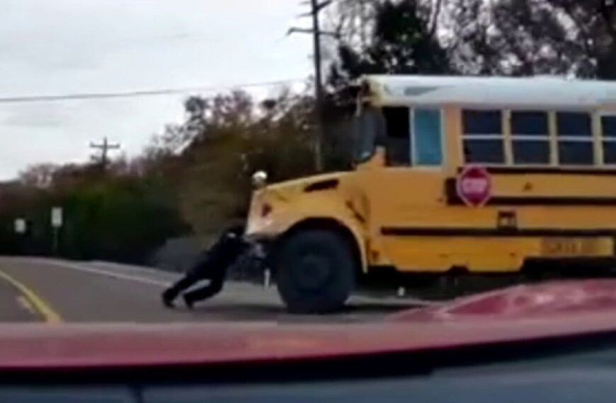 A Simple Act of Courage Becomes the Internet’s Most Viral Moment in 24 Hours